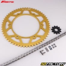 Reinforced O-ring chain kit XNUMXxXNUMXxXNUMX Fantic  XE, XM XNUMX (since XNUMX) gold and gray