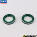 Paraolio e distanziali ruota posteriore Beta RR 350, 400, 450 (2010 - 2012) SKF