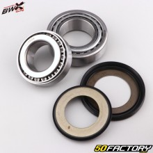 Steering column bearings Kawasaki KX XNUMX (XNUMX - XNUMX), XNUMX (since XNUMX)... BWX