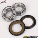 Roulements de colonne de direction Husqvarna CR 125 (1999 - 2013), TE 310 (2009 - 2013)... BWX