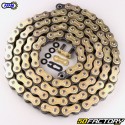 520 reinforced chain (O-rings) 118 links Afam  or