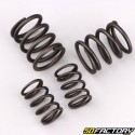 Engine valve springs 1P60FMJ YX 150, 160 4T