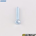 Keihin PWK 33-41 Carburetor Idle Screw