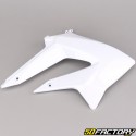 Carenatura anteriore destra Derbi Senda DRD Xtreme, Gilera SMT,  RCR (2011 - 2017) bianco