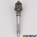 Primary shaft of gearbox Yamaha Chappy LB50 (1973 - 1996) V2