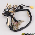 Electrical harness Yamaha Chappy LB50 (1973 - 1996) V3