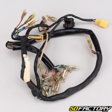 Wiring harness Yamaha Chappy LB50 (1973 - 1996) V3