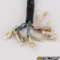 Electrical harness Yamaha Chappy LB50 (1973 - 1996) V3