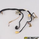 Electrical harness Yamaha Chappy LB50 (1973 - 1996) V3