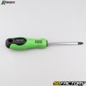 Phillips PH2x100mm Phillips screwdriver Ribimex