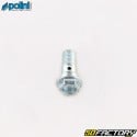 Banjo brake screw Ø8x1.00 mm with seal Piaggio Zip SP1, SP2 50 Polini