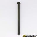 Center stand axle with spring and MBK buffer Booster,  Stunt  et  Yamaha Bw&#39;s 50 2T V2