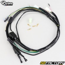 Feixes eléctricos Peugeot 103 SPX (ph1), RCX (ph1), Clip... idêntico ao original (saída de 5 fios) Restone