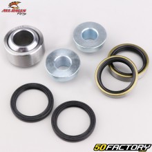 Rolamento inferior do amortecedor KTM EXC 250, EXC-F 450 (antes de 2017), Husaberg FE 390... All Balls