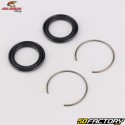 Cuscinetto superiore dell&#39;ammortizzatore Yamaha YZF250, 450, Fantic XXF, Sherco SEF ... All Balls