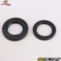 Rear wheel bearings and seals Yamaha YZ 125 (since 1999), YZF 250 (2001 - 2008), 450 (2003 - 2008)... All Balls