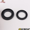 Rear wheel bearings and seals Yamaha YZ 125 (since 1999), YZF 250 (2001 - 2008), 450 (2003 - 2008)... All Balls