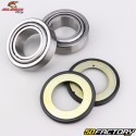 Steering column bearings Yamaha YZF-R1, R6, FJR 1300, Suzuki GSX-R 1000 ... All Balls