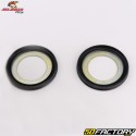 Steering column bearings Yamaha YZF-R1, R6, FJR 1300, Suzuki GSX-R 1000 ... All Balls