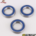 Cuscinetti e guarnizioni delle ruote posteriori Yamaha YZF 250 (dal 2009), 450 (dal 2014), Fantic XXF250, 450... All Balls