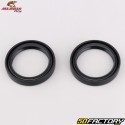 Cuscinetti e guarnizioni delle ruote posteriori Yamaha YZF 250 (dal 2009), 450 (dal 2014), Fantic XXF250, 450... All Balls