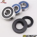 Rear wheel bearings and oil seals Honda CB 600, 1000 F, Africa Twin CRF 1100 L... All Balls