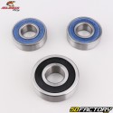 Rear wheel bearings and oil seals Honda CB 600, 1000 F, Africa Twin CRF 1100 L... All Balls