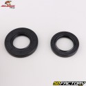 Rear wheel bearings and oil seals Honda CB 600, 1000 F, Africa Twin CRF 1100 L... All Balls