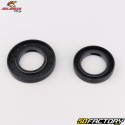 Rear wheel bearings and oil seals Honda CB 600, 1000 F, Africa Twin CRF 1100 L... All Balls