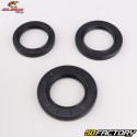 Rear wheel bearings and seals Suzuki GSX-R, GSX-S 1000... All Balls