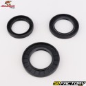 Rear wheel bearings and seals Suzuki GSX-R, GSX-S 1000... All Balls