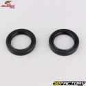 Cuscinetti e guarnizioni dello spinnaker della ruota anteriore Kawasaki ER-6N, Z 800, Triumph Daytona 675 ... All Balls