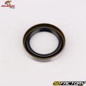 Joint spi et bague de pignon de sortie de boîte KTM SX 125 (2001 - 2014), EXC 250, EXC-F 450 (depuis 2017)... All Balls