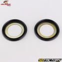 Rolamentos da coluna de direção Yamaha YZ 2000, 2000 (2000 - 2000), Sherco SEF 250 (desde 450)... All Balls