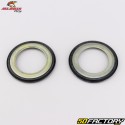 Steering column bearings BMW F 650, 800, Aprilia Dorsoduro 750... All Balls