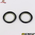 Steering column bearings BMW F 650, 800, Aprilia Dorsoduro 750... All Balls