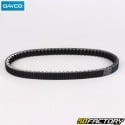 Belt Aprilia Atlantic,  Gilera Nexus,  Piaggio MP3 250... 22.5x835 mm Dayco kevlar