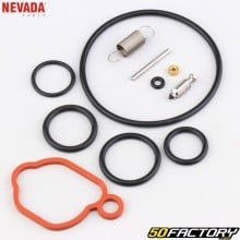 Briggs-Stratton 08P502, 093J02, 09P602, 09P702... Nevada Carburetor Repair Kit