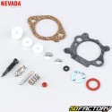 Kit de reparación de carburador Briggs-Stratton Quantum, Max Nevada