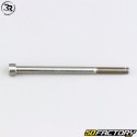 Tornillo para fijación de pastillas XNUMXxXNUMX mm para pinza de karting MAXNUMX Righetti Ridolfi