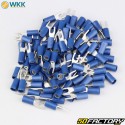 XNUMX mm insulated spade terminals WKK  blue (pack of XNUMX)