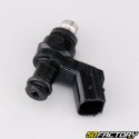 Honda injector PCX (2013 - 2017), HS 125 (2013 - 2019)