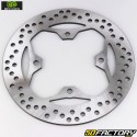 Triumph rear brake disc Tiger 800, America 865, Speed ​​Triple 1050... Ø255 mm NG Brakes