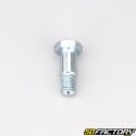 Shock absorber upper axle 10x30 mm Vespa