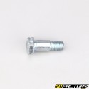 Shock absorber upper axle 10x30 mm Vespa