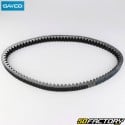 Kawasaki J belt, Kymco People 300...24.6x1011 mm Dayco kevlar