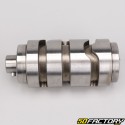 Gearbox barrel Derbi Euro 4