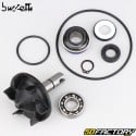 Bomba de água Yamaha Tmax 500, 530, 560 Buzzetti (kit de reparo)