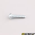 Robot mower housing screw 5x22 mm torx head Husqvarna, Gardena, McCulloch...