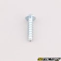 Robot mower housing screw 5x22 mm torx head Husqvarna, Gardena, McCulloch...